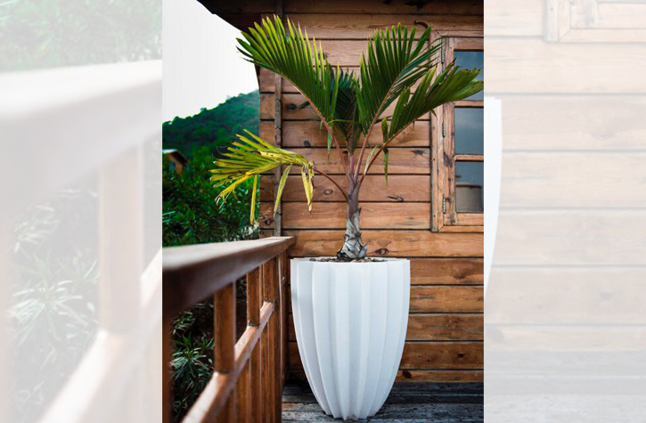 LED Pots in Bangalore