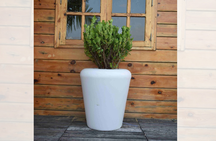 Indoor/outdoor LCD planters in Bangalore